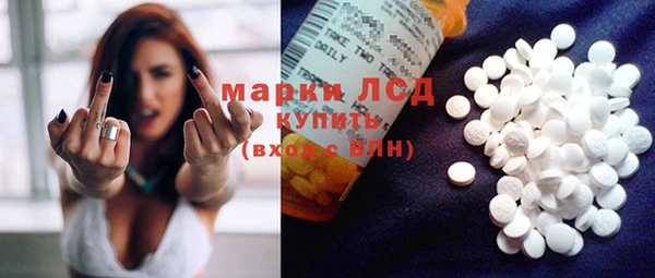 прущие грибы Бугульма