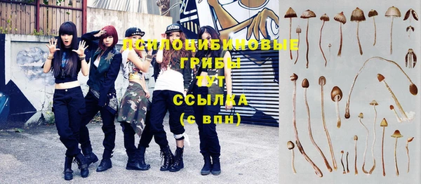 гашиш Бородино