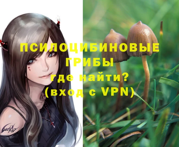 гашиш Бородино