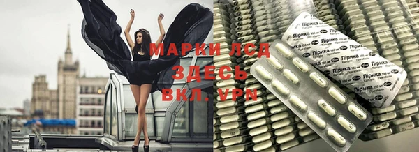 прущие грибы Бугульма