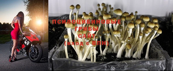 гашиш Бородино