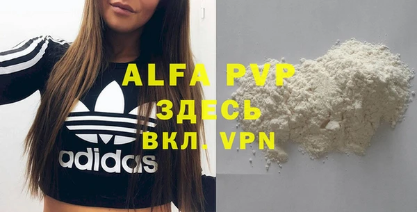 прущие грибы Бугульма
