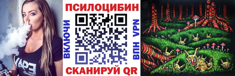Купить где Котельники Псилоцибиновые грибы Magic Shrooms